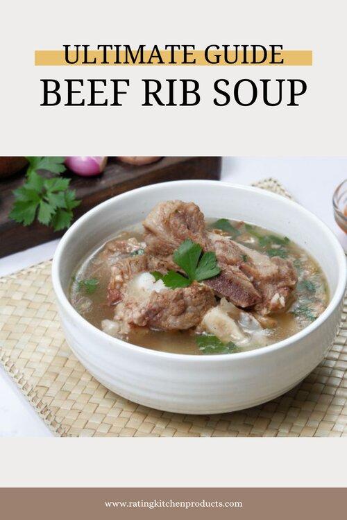 beef rib soup