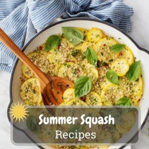 summer squash recipes