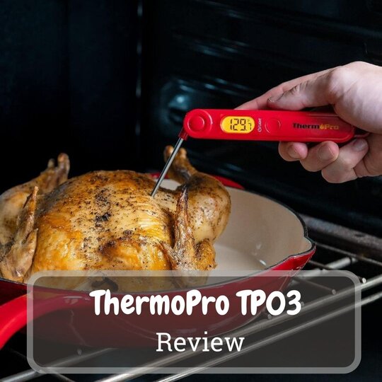 ThermoPro TP03 Review