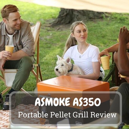 ASMOKE AS350 Portable Pellet Grill Review