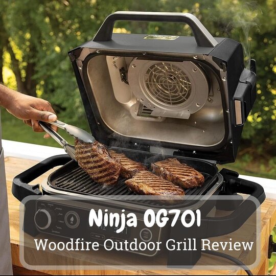 Ninja OG701 Woodfire Outdoor Grill Review